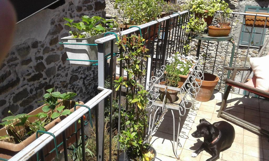 Casa Med Holiday Home Isolabona 外观 照片